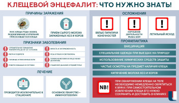 День борьбы с энцефалитом День борьбы с энцефалитом.