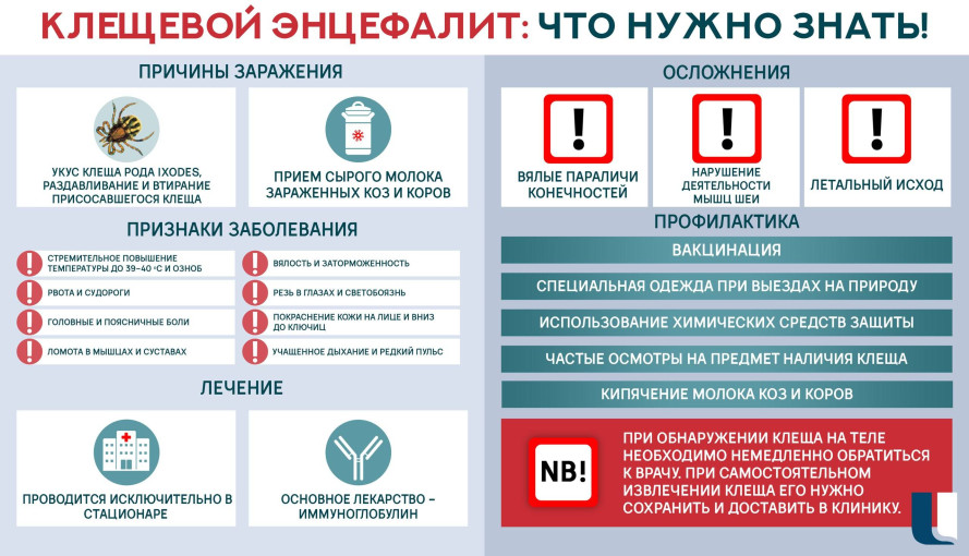 День борьбы с энцефалитом День борьбы с энцефалитом.
